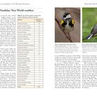 "Parulidae: New World warblers. Tabelle 27: Arten und Beobachtungen. Waldsänger-Details und zwei Vogelbilder rechts."