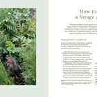 Wie man einen Sammelgarten plant. Bedingungen für Ihren Garten. Links ein grüner Garten mit Hühnern.