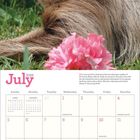 "July 2026" steht oben. Kalender mit Text über "Milo", ein Faultier. Abgebildet ist ein Faultier neben rosa Blumen.