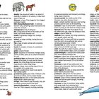 Glossary mit Definitionen zu Begriffen wie "amber fossil", "asteroids", "bacteria" und "Big Bang". Links und rechts Bilder von Tieren.