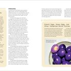 Links: "The Best Way to Boil an Egg" mit Kochtipps. Rechts: "FREEZING" erklärt das Einfrieren von Eiern. Darunter lila Eier.