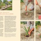 „Garden Renovation: Breathe New Life into a Garden“ beschreibt Gartenumgestaltung. Bilder zeigen einen Mann, der Pflanzen in Kies einpflanzt.