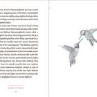 "Studies in Nature 18". Zwei Kolibris in einem grauen, detaillierten Stil, die mit Schnäbeln aufeinander zugerichtet sind.