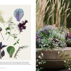 Text: Pflanzen, Materialien. Blätter, Kräuter. Links sortierte Pflanzen, rechts Kürbisse in Schale, umgeben von Blumen.