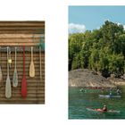 Links gelbe Blüten im Feld, rechts Holzhütte am Wasser, umgeben von Bäumen.