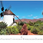 "Windmühle in Antigua", Aprilkalender; Windmühle mit rotem Dach, umgeben von exotischen Pflanzen und Bergen im Hintergrund.