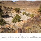 Text: "Oase", "4", "CASARES EDITION". Steinige Landschaft mit Palmen und Gestrüpp. Hintergrund: karge Hügel.