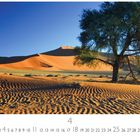Text: "Namib Wüste", "CASARES EDITION". Dünenlandschaft bei klarem Himmel, Baum rechts vorne, welliger Sandboden.