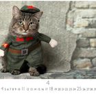 Zahlen 1-30 unten, einschließlich der Zahl 4 doppelt hervorgehoben. Eine Katze in einer Militäruniform vor einer Ziegelwand.