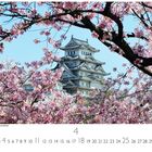 Himeji Castle während der Kirschblüte. Eine Burg umgeben von blühenden Kirschbäumen, blauem Himmel, Kalender unten.