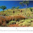 Text: "Grassy Hill", "4", "CASARES EDITION". Grüne Hügel mit Bäumen und Termitenhügeln unter klarem blauem Himmel.