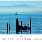 "Bodensee im Morgenlicht." Segelboot und Vogel auf Holzstämmen im ruhigen blauen Wasser, Berge am Horizont.