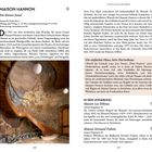 MAISON HANNON  
Ein kleines Juwel  
Avenue de la Jonction 1  
Montag und Freitag 11–18 Uhr, Samstag und Sonntag 10–18 Uhr  
Reservierung: maisonhannon.be  

Wandgemälde neben einer kunstvoll geschwungenen Treppe.