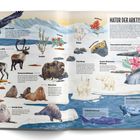 Texte beschreiben Tiere und Pflanzen der Arktis, darunter Rabe, Rentier, Eisbär, Walross und Wollgras. Zeichnung mit Tieren.