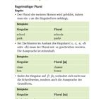 Text zu Pluralbildung von Nomen mit Tabellen. Grüne Überschrift und Aufteilung in Abschnitte mit Beispielen.