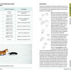 Größe der Trittsiegel und Schrittlängen einiger europäischer Säugetiere: Tabelle mit Tierspuren. Text zu Igelspuren. Bild eines Igels.