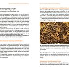 Drohnen: Ein Schlüssel für Varroaresistenz-Merkmale.  
Abbildung: Eine Drohnenwabe mit Bienen in Zellen.