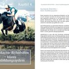 Kapitel 4: Durchdachte Reiterhilfen – klares Ausbildungssystem. Foto von einem Reiter, der mit einem Pferd über ein Hindernis springt.