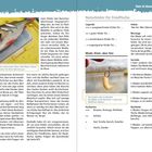 Texte: "3." "Auf Kunststoff geht nichts mehr? Dann hilft Natur. Kleine Köderfische sind immer für Extra-Barsche gut." "Naturköder für Friedfische" "Made: Klein, aber fein" "Fischarten" "Vorteile" "Nachteile". 

Der linke Teil zeigt einen Fisch auf einem gelben Hintergrund. Rechts wird eine Made präsentiert.