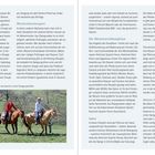 Westernreiten für Einsteiger. Mit solid ausgebildeten Pferden lässt sich der Ausritt in einer Gruppe genießen.