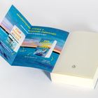 "Fünf Sommer mit dir" und "Der Sommer unseres Lebens" auf blauem Hintergrund, Text erwähnt Sommer, Nostalgie, Gegensätze.