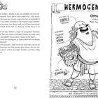 Links Text über Flucht aus Pompeji. Rechts Illustration von Hermogenes, hält Maske, Sprüche zeigen Selbstbewusstsein.