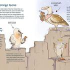 "Aas ist unsere einz'ge Speise" beschreibt Geierarten: Bartgeier, Riesenturmvogel und Gänsegeier in einer Illustration.