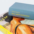 "Lidija Hilje DEM MEER ENTGEGEN" steht auf einem blauen Buch. Darunter ein Buch mit gemaltem Rücken einer Person.