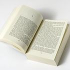 Seite 228 und 229 eines geöffneten Buches mit dichtem Text auf beiden Seiten. Buch liegt auf weißem Hintergrund.