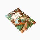 „Wolfgang Hovstad, Märchen, Isabel Benedict-Wilford“. Illustration mit Eule in bunter Waldlandschaft.