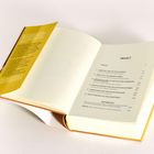 Offenes Buch mit gelbem Umschlag. Inhaltsverzeichnis: Kapitel wie "ABER SIE LIEBT ES DOCH SO SEHR", "PROLOG", "AKTIONSPLAN".