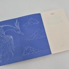 S. L. Cest, Sturmtochter. Links Illustration eines Vogels und Wolken auf blauem Hintergrund.