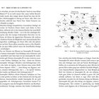 Zwei Buchseiten zeigen Text mit einem Diagramm. Überschrift: "Geschenke und Familienbande". Diagramm beschreibt soziale Beziehungen.