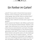Ein Panther im Garten? Illustration: Bäume mit einem versteckten Panther. Text erzählt von Conni, die mit Jakob spricht. Seite 5.