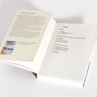 Linke Seite: "Worum es geht", Text über erneuerbare Energien. Rechte Seite: "Inhalt" mit Kapiteln wie "Einleitung" und "Energieverbrauch".