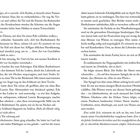 Zweiseitiger Text mit Absätzen. Hauptfigur bespricht einen Pakt, erwähnt Dämonen, eine geheime Tür und mystische Orte. Seitenzahlen 10 und 11.