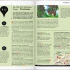 „Im Tal der Schmetterlinge – Petaloúdes.“ Weiter gibt es Infos zu Waldbrand, Ausflugsziel, Öffnungszeiten und Kulinarisches.