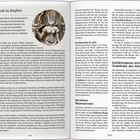 Text links oben: "Kunstraub in Angkor". Text rechts: "Geschichte", "Gottkönigtum wird zur Triebfeder des Städtebaus", "Bau weiterer Wasserreservoirs". 

Es handelt sich um eine Doppelseite mit Text über Angkor, Kunstraub und historische Entwicklungen. Links oben ein Bild einer Reliefskulptur.