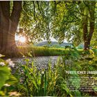 FÜRSTLICHES JAGDREVIER: Sonnenstrahlen durch dichte Bäume, ein Kopfsteinpflasterweg, umgeben von saftigem Grün und Wald.