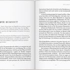 „BYE, BYE BURNOUT“ ist der Titel. Links: Definitionen von „Achter“ und „AIS“. Rechts: Eine persönliche Erzählung über Stress und Burnout.