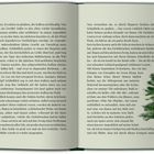 Zwei Buchseiten mit fortlaufendem Text. Unten links die Seitenzahl 42. Rechts unten eine gezeichnete Tanne.