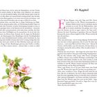 10. Kapitel. Text beschreibt eine Szene mit Emma und Mr. Weston. Unten links: Illustration rosa Blüten und Blätter. Seitenzahl 329.