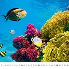 Kalenderdatumsreihe unten, Aprilbeginn. Bunte Fische und Korallen im klaren blauen Wasser.