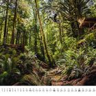 Kalender: April mit hervorgehobenem 25. Ein Radfahrer springt durch einen dichten, grünen Wald.