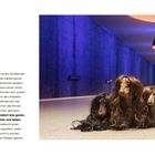 "The" in großen Buchstaben. Drei Dackel mit Perücken stehen in einer beleuchteten U-Bahn-Passage unter großen Lampen.