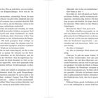 Doppelseite eines Buches, Seiten 14 und 15, voll mit Text über eine Begegnung zwischen Klaus Marsalek und einer Frau.