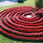 In einem Park windet sich ein spiralförmiges Blumenbeet aus roten Blumen auf einer grünen Wiese.