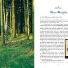 „Meine Wenigkeit“ und „Ein kühles Willkommen im heißen Sommer 1904“. Links ein dichter Wald mit hohen Bäumen. Rechts Text.