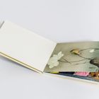 Ein geöffnetes Buch zeigt eine Illustration mit Blüten und einem Vogel, dazu bunte Seiten im Hintergrund.