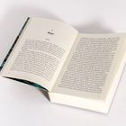 Buchseite mit Kapitelüberschrift "2 Maggie". Darunter Text über einen Sommertag mit Maggie, Freunden und Vorbereitungen.